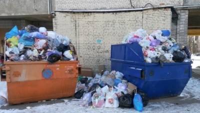 Мертвого младенца нашли в мусорном контейнере в Ульяновске