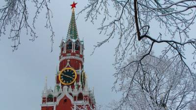 Мокрый снег с дождем ожидается в Москве на следующей неделе