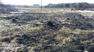 Пенсионер получил серьезные ожоги при тушении сухой травы в Чаусском районе