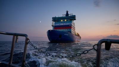 Кошкин: военнослужащие ВМФ России показали высшую степень мастерства в Арктике