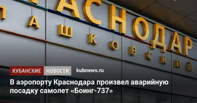 В аэропорту Краснодара произвел аварийную посадку самолет «Боинг-737»