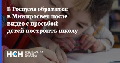 В Госдуме обратятся в Минпросвет после видео с просьбой детей построить школу