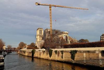 Во Франции рубят 200-летние дубы для реставрации Собора Парижской Богоматери и мира