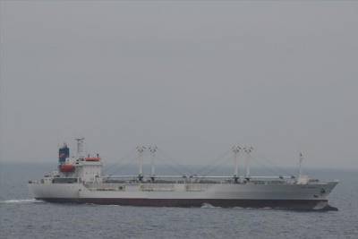 Президент Египта поручил разгрузить корабль, севший на мель в Суэцком канале