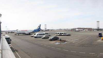 Самолёт из Москвы не смог сесть в Пулково из-за постороннего предмета на ВПП