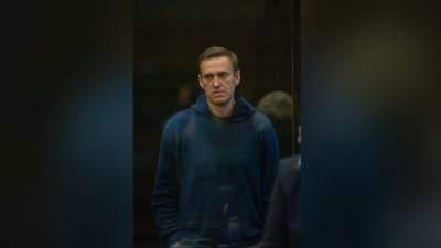 Данные из списка сторонников Навального могут быть проданы третьим лицам