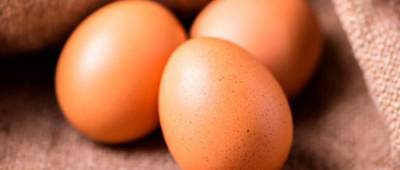 Експерт нагадав про небезпеку приготування яєць