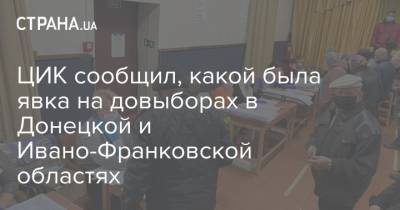 ЦИК сообщил, какой была явка на довыборах в Донецкой и Ивано-Франковской областях