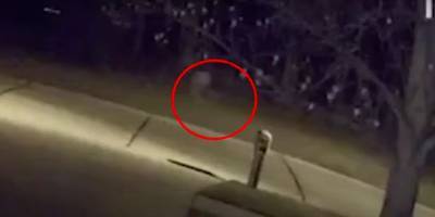 Жителей города Ментор в Огайо шокировало видео с девочкой призраком, которая бегает по улицам - ТЕЛЕГРАФ