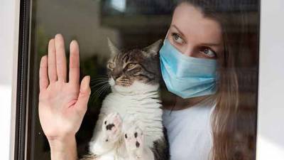 Гинцбург предупредил о массовом заражении коронавирусом домашних животных