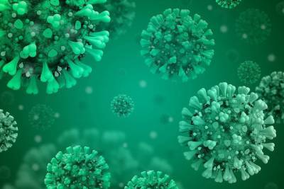 В Чехии зафиксировали новую мутацию коронавируса