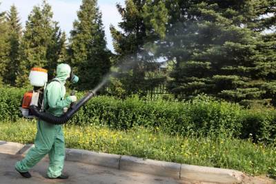 Боевая задача для костромских военных химиков: провести химическую атаку на клещей