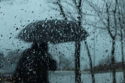 Синоптики: на этой неделе Ярославль накроют дожди