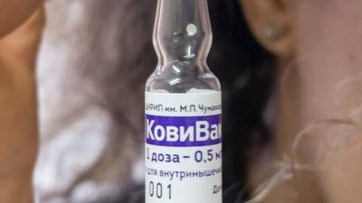 Названы причины успеха российской вакцины против COVID-19 «Спутник V»