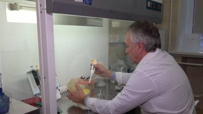 НИИ Роспотребнадзора разработал первый ПЦР-тест для диагностики малярии