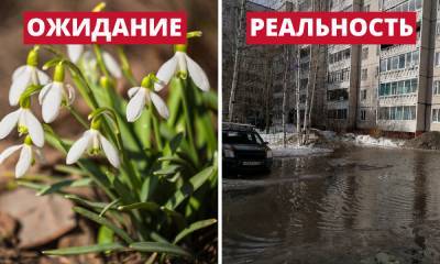 Стыдно за город! Удручающие кадры последствий плохой уборки Петрозаводска