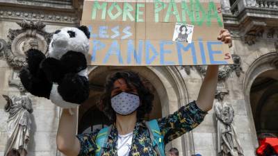 Французы недовольны законопроектом о климате