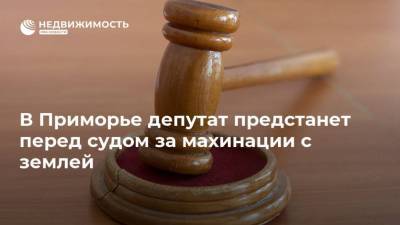 В Приморье депутат предстанет перед судом за махинации с землей
