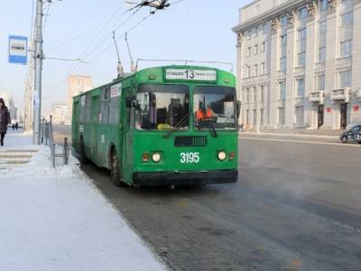 В Новосибирске введут безлимитный проездной на всех видах транспорта