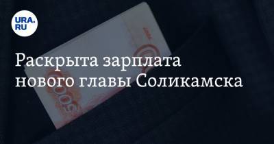 Раскрыта зарплата нового главы Соликамска