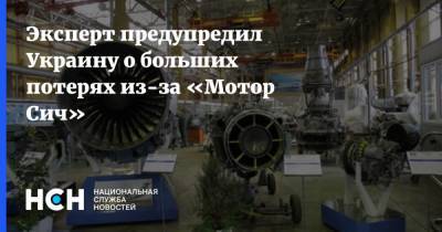Эксперт предупредил Украину о больших потерях из-за «Мотор Сич»