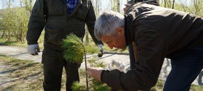 Парфенчиков рассказала о лидерстве Карелии в восстановлении лесов