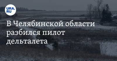 В Челябинской области разбился пилот дельталета