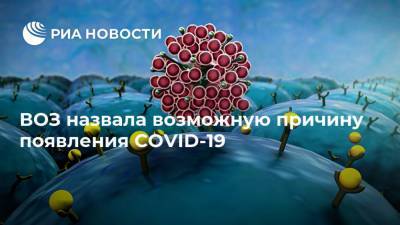 Питер Бен Эмбарек - ВОЗ назвала возможную причину появления COVID-19 - ria.ru - Москва - Китай - Женева - Ухань