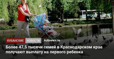 Более 47,5 тысячи семей в Краснодарском крае получают выплату на первого ребенка