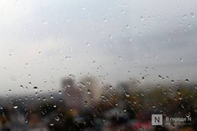 Потепление до +8°С и дожди придут в Нижний Новгород на этой неделе