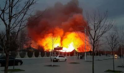 Масштабный пожар на Одесчине, огонь охватил большую территорию: видео ЧП