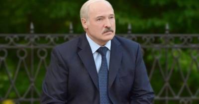 Новый ректор КНУ хочет добиться лишения Лукашенко звания почетного доктора