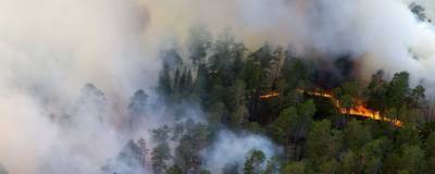 В Томской области на охрану лесов от пожаров направят 169,5 млн рублей