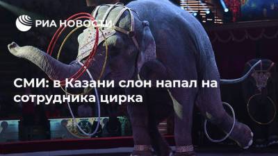СМИ: в Казани слон напал на сотрудника цирка
