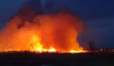 В Одесской области горело Лебяжье озеро: огонь охватил более 2 гектаров территории – видео