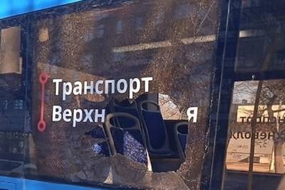 В Твери задержали дебоширов, разбивших стекло автобусу в Твери