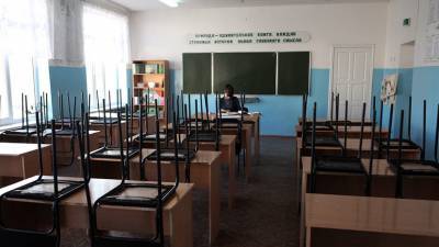 В Красноярском крае начата проверка по факту массовой драки между школьниками