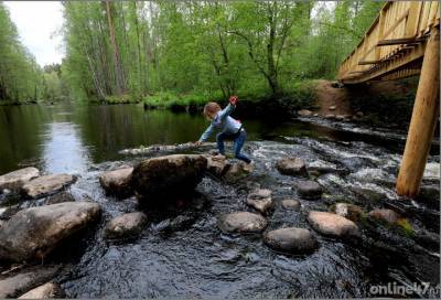 В Ленобласти учредили Дирекцию особо охраняемых природных территорий