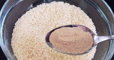 Смешайте рис с дрожжами — вкусная еда за копейки