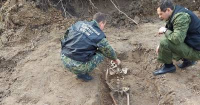 Предположительно, пали во время ВОВ: при работах в Багратионовском районе нашли останки 25 человек
