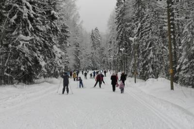 В Петрозаводске закрыли лыжный сезон