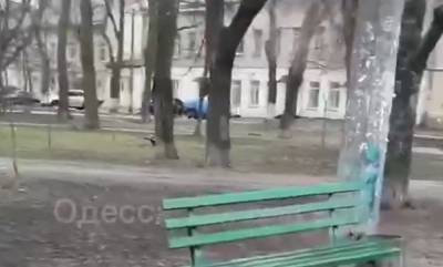 Трагедия с мужчиной в центре Одессы, тело лежало под лавкой: "скорая и полиция не спешат"