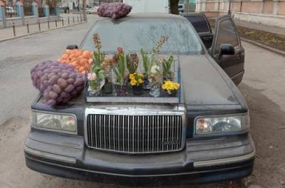 В Черновцах картошку и лук продают из лимузина. ФОТО
