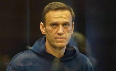 Политик Алексей Навальный получил 6 выговоров за две недели в исправительной колонии в Покрове