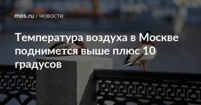 Температура воздуха в Москве поднимется выше плюс 10 градусов