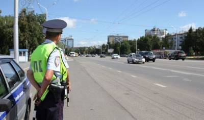 Полицейские Кемерова наказали водителя за авто «Шкурнадзора»