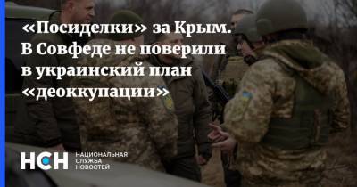 «Посиделки» за Крым. В Совфеде не поверили в украинский план «деоккупации»