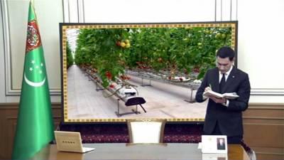 Россельхознадзор грозит Туркменистану запретом на поставки томатов из-за паразитов
