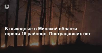 В выходные в Минской области горели 15 районов. Пострадавших нет