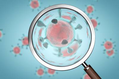 Вслед за Чехией: во Франции обнаружили неизвестный ранее штамм коронавируса